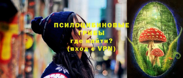 винт Алексин